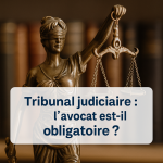 Avocat obligatoire devant le Tribunal judiciaire